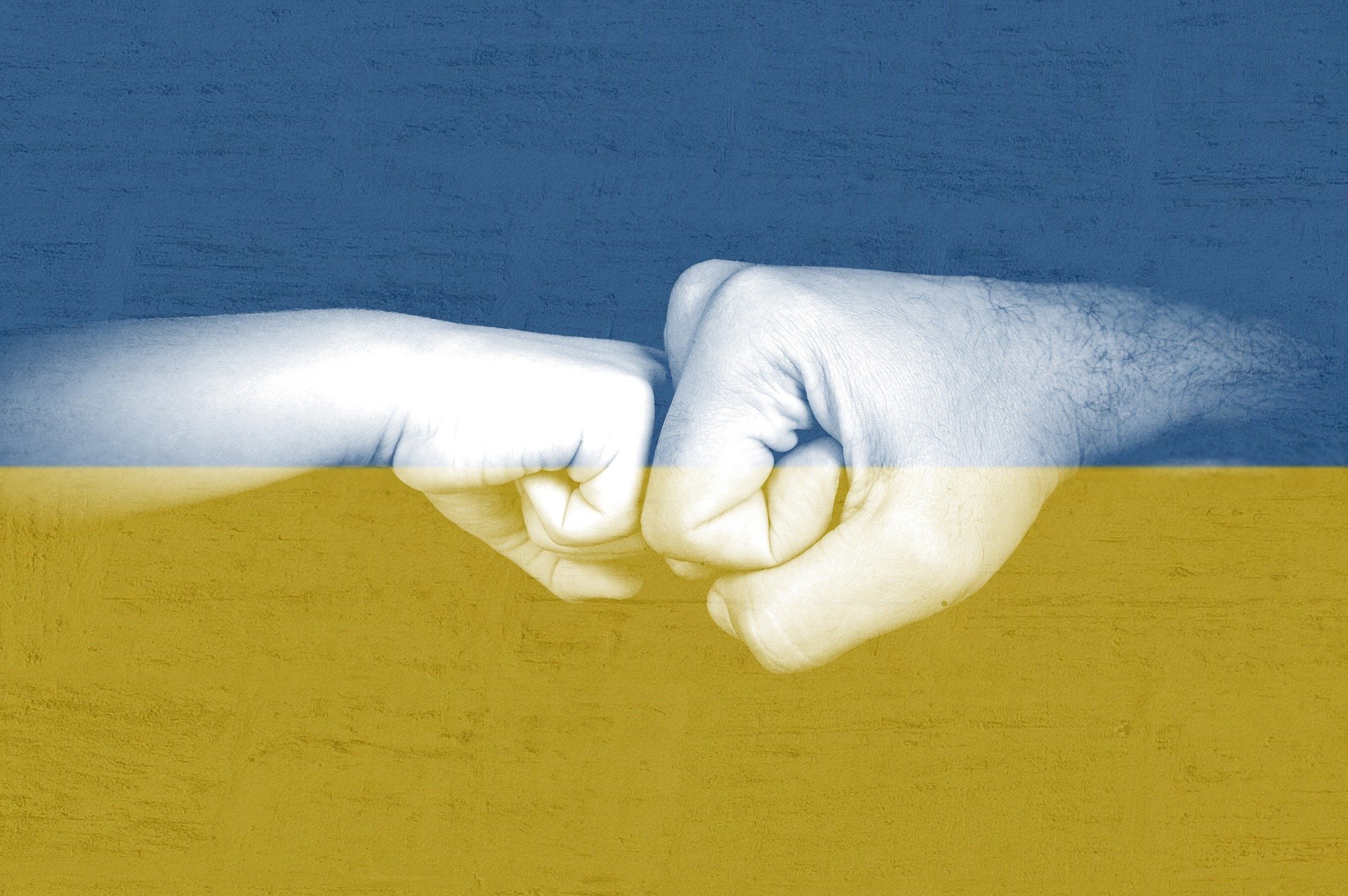 alleanza ucraina